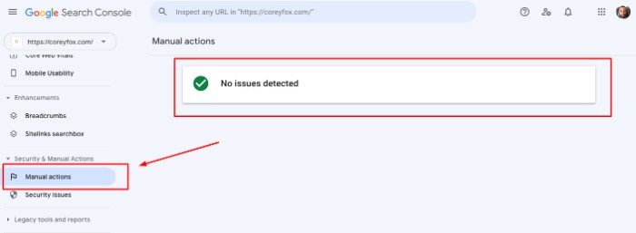Manual Actions - SEO Checklist
